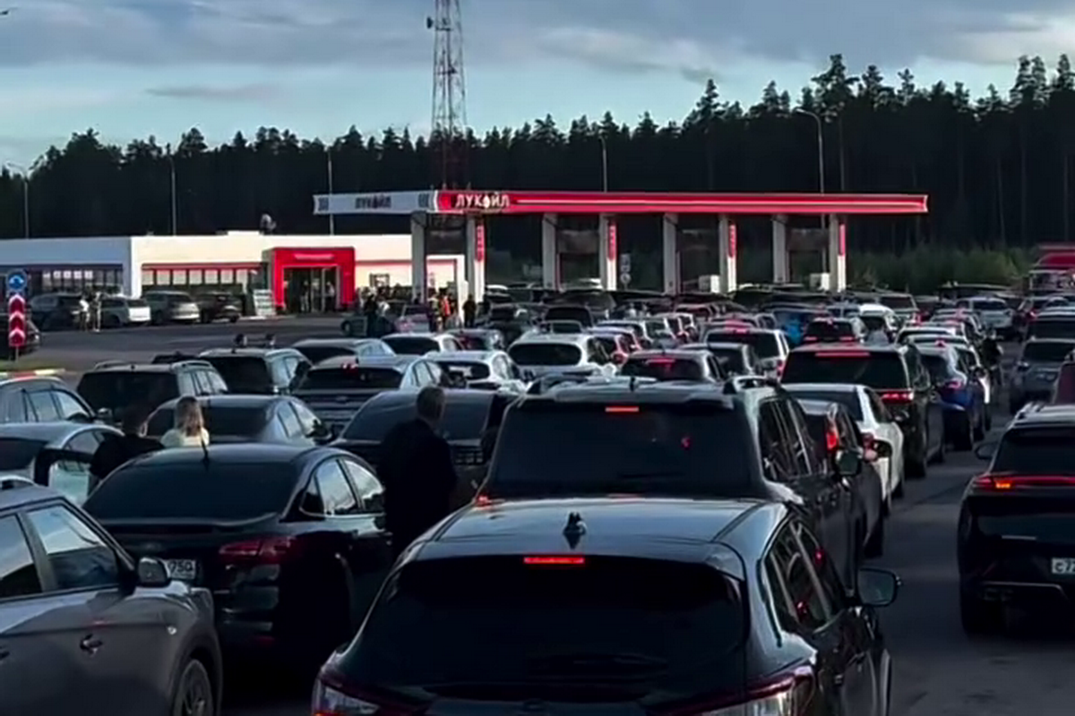 Описание картинки